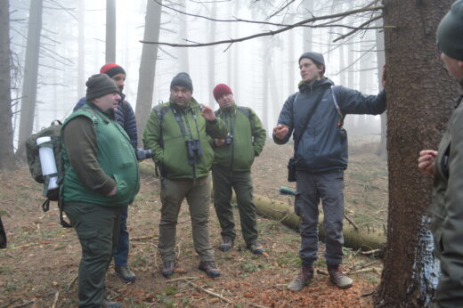 Parcul Natural Vânători-Neamț