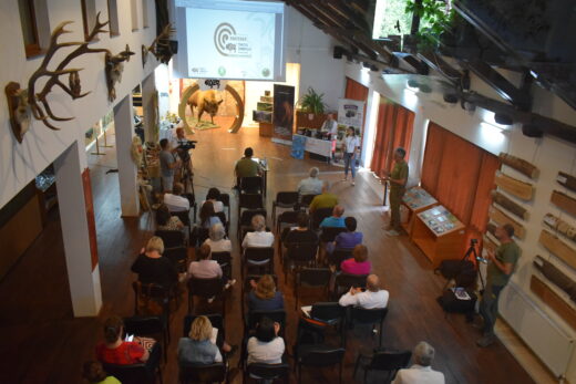 Parcul Natural Vânători-Neamț