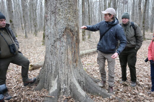 Parcul Natural Vânători-Neamț