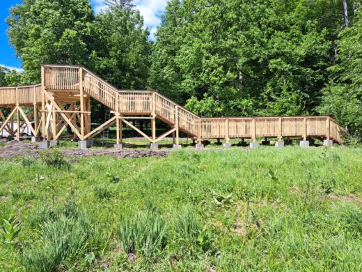 Parcul Natural Vânători-Neamț