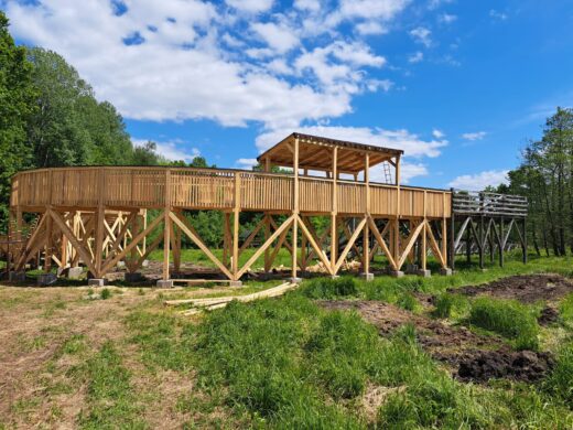 Parcul Natural Vânători-Neamț