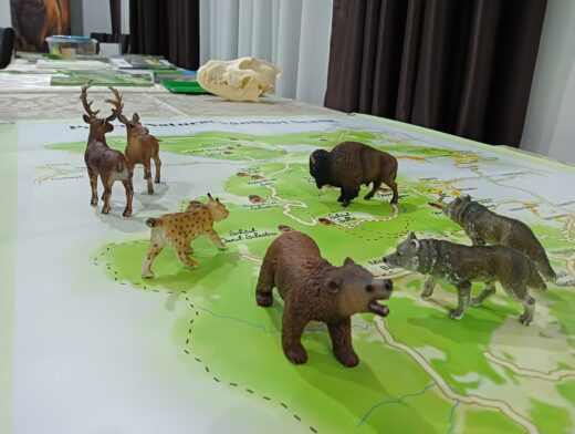 Parcul Natural Vânători-Neamț