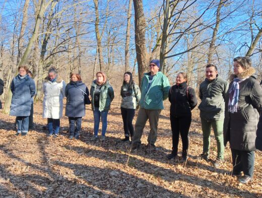 Parcul Natural Vânători-Neamț