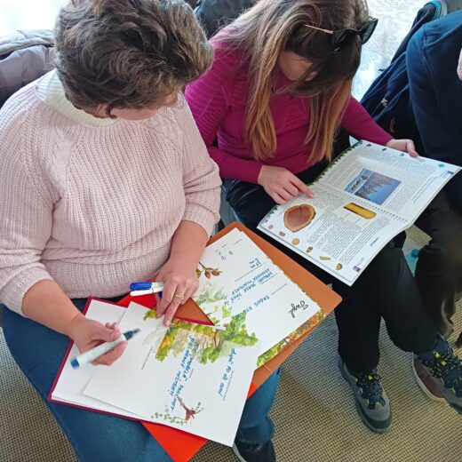 Parcul Natural Vânători-Neamț