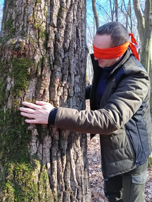 Parcul Natural Vânători-Neamț