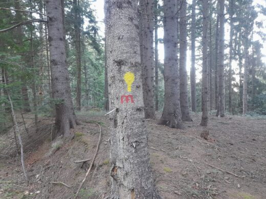 Parcul Natural Vânători-Neamț