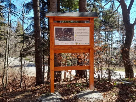 Parcul Natural Vânători-Neamț