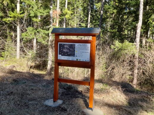 Parcul Natural Vânători-Neamț