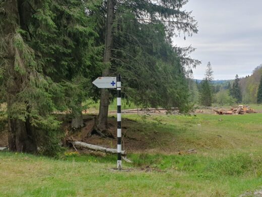 Parcul Natural Vânători-Neamț