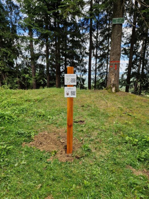 Parcul Natural Vânători-Neamț