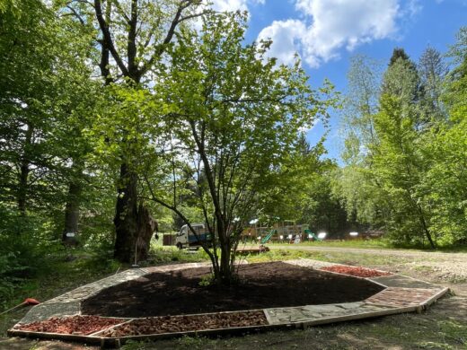 Parcul Natural Vânători-Neamț