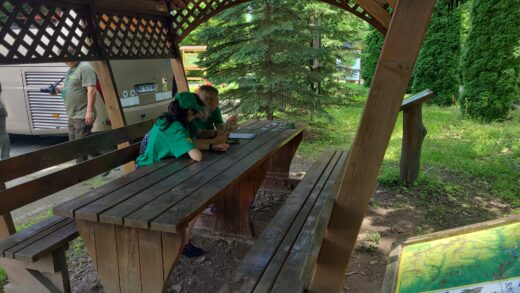 Parcul Natural Vânători-Neamț