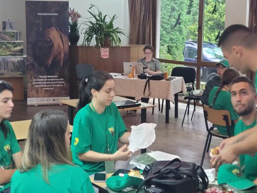 Parcul Natural Vânători-Neamț