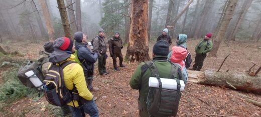 Parcul Natural Vânători-Neamț