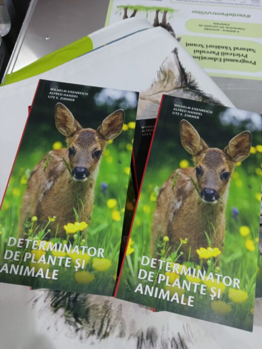 Parcul Natural Vânători-Neamț