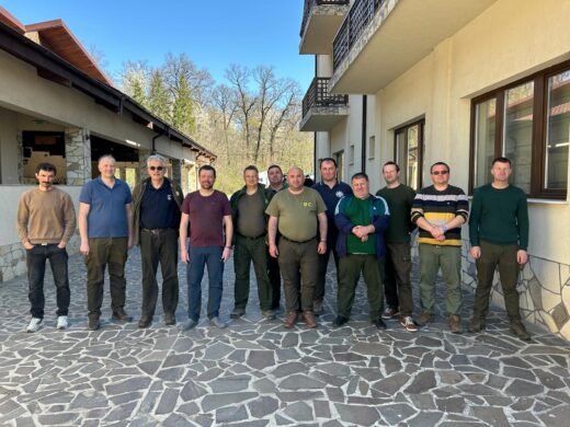 Parcul Natural Vânători-Neamț