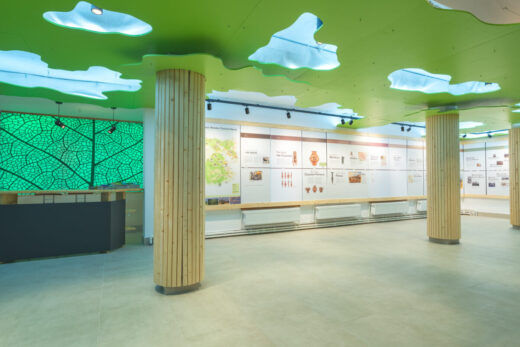 Parcul Natural Vânători-Neamț