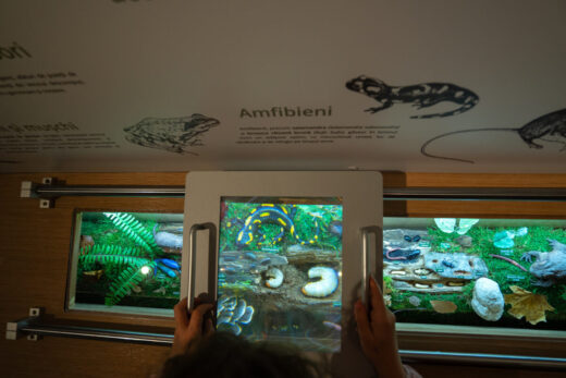 Parcul Natural Vânători-Neamț