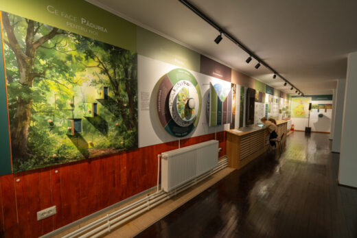 Parcul Natural Vânători-Neamț