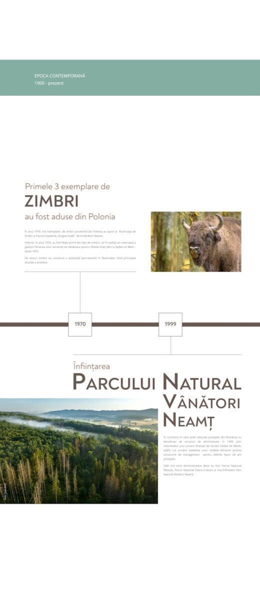 Parcul Natural Vânători-Neamț