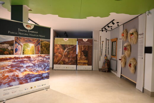 Parcul Natural Vânători-Neamț