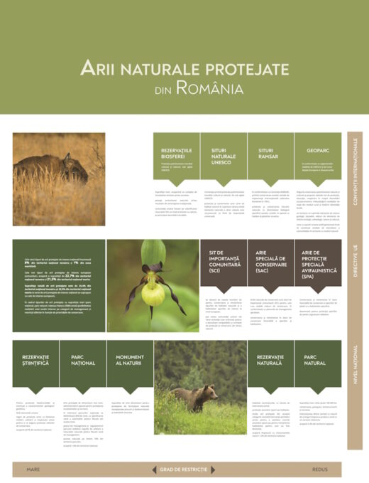 Parcul Natural Vânători-Neamț