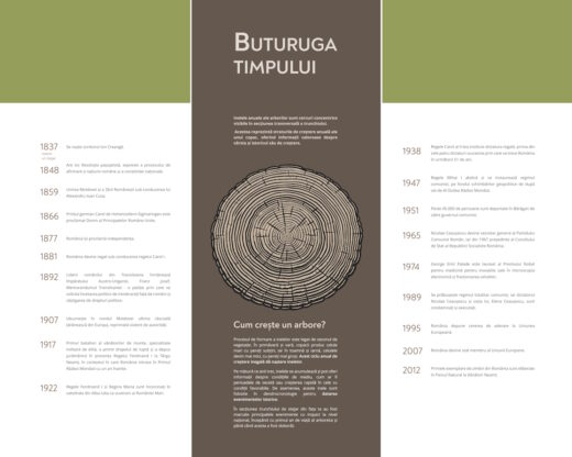 Parcul Natural Vânători-Neamț