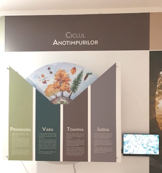 Parcul Natural Vânători-Neamț