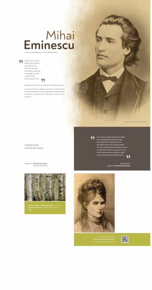 Parcul Natural Vânători-Neamț