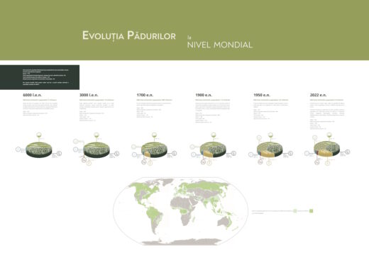 Parcul Natural Vânători-Neamț