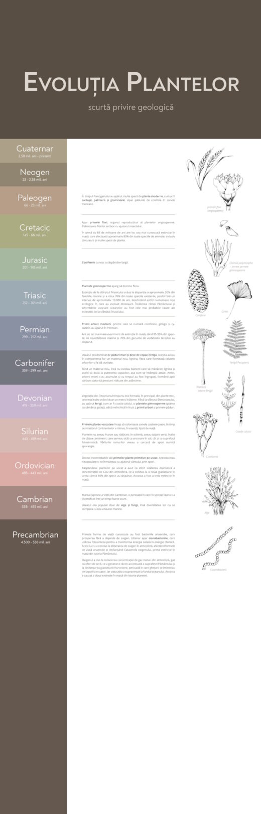 Parcul Natural Vânători-Neamț