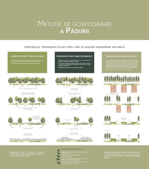 Parcul Natural Vânători-Neamț