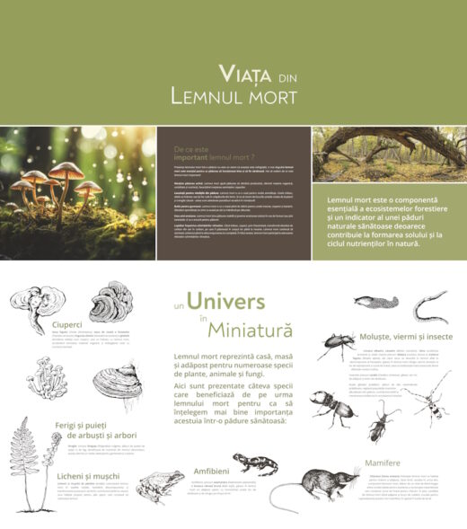 Parcul Natural Vânători-Neamț