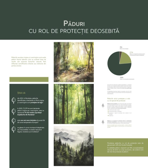 Parcul Natural Vânători-Neamț