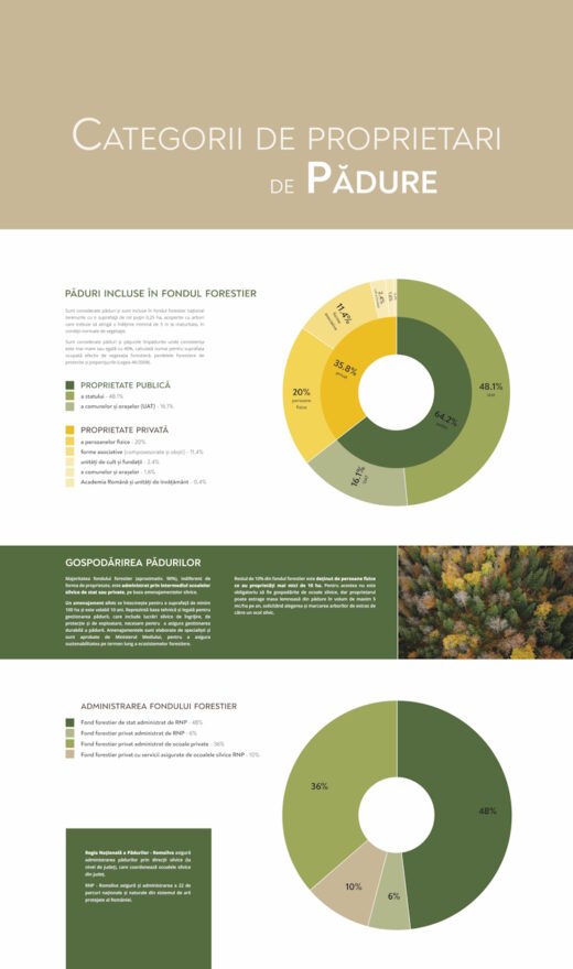 Parcul Natural Vânători-Neamț