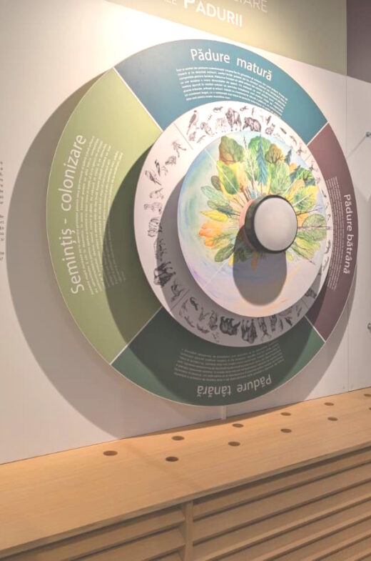 Parcul Natural Vânători-Neamț