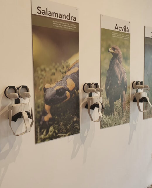 Parcul Natural Vânători-Neamț