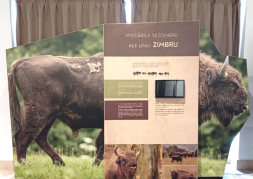 Parcul Natural Vânători-Neamț